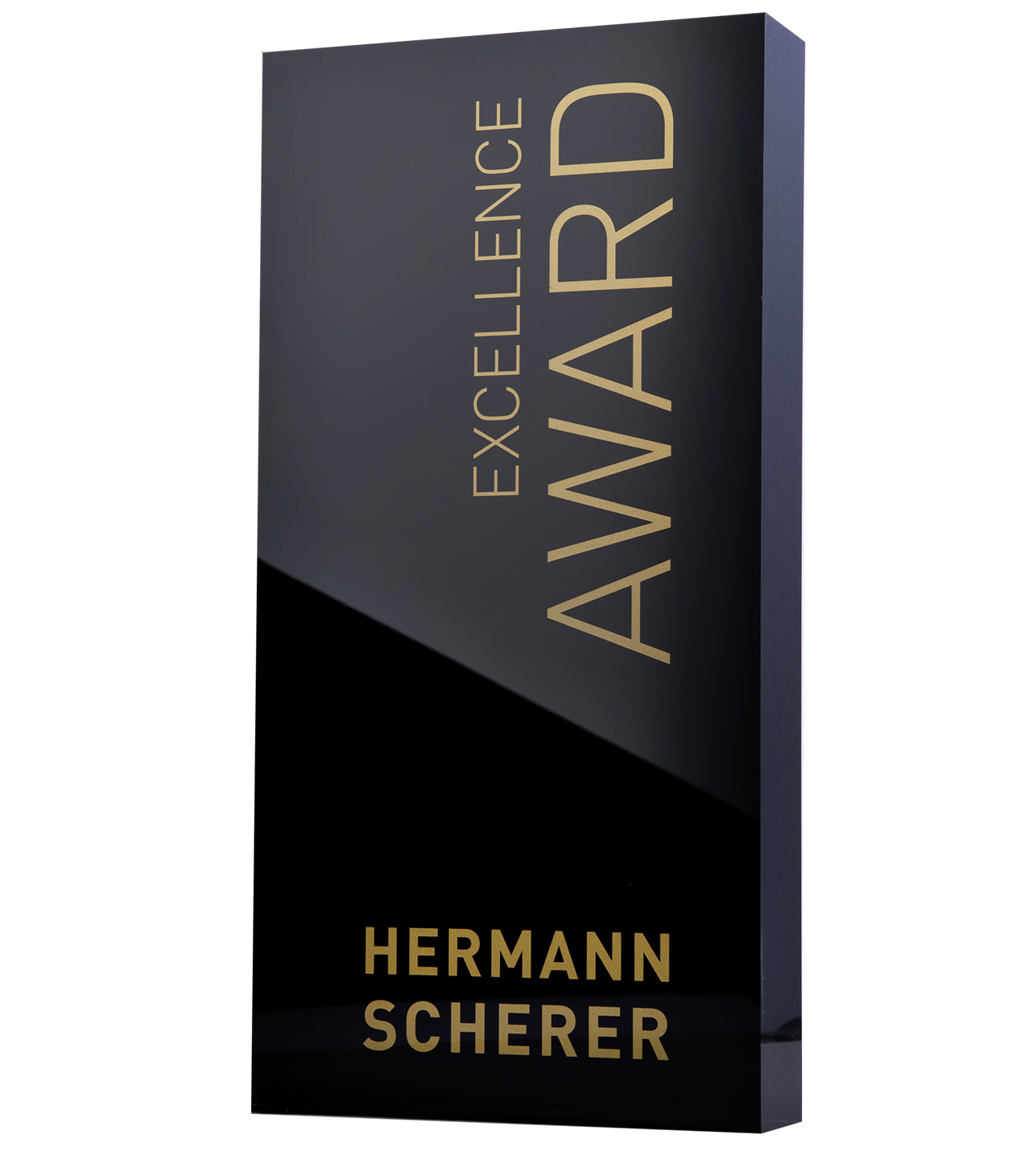 Lena Lüder erhält den Excellence Award von Hermann Scherer für herausragende Leistungen